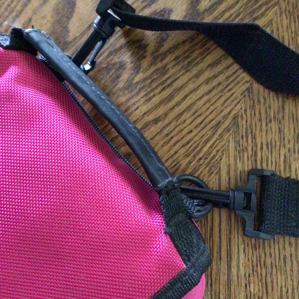 Nintendo handheld game carrying case